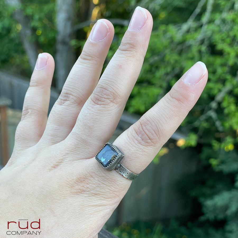 Agatized Petrified Wood, Freeform Beveled Square Cabochon Ring in Sterling Silver, Cocktail Ring, Starry Night Band - One of a kind - Rud