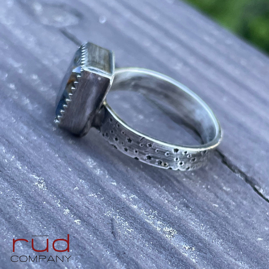 Agatized Petrified Wood, Freeform Beveled Square Cabochon Ring in Sterling Silver, Cocktail Ring, Starry Night Band - One of a kind - Rud